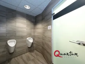 Pronájem kanceláře, Praha - Vinohrady, Šafaříkova, 123 m2