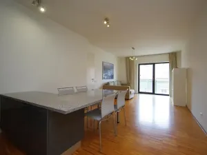 Pronájem bytu 2+kk, Praha - Žižkov, Prokopova, 58 m2