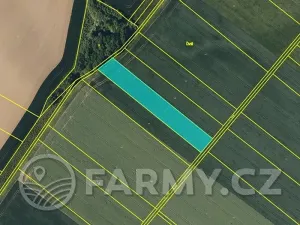 Prodej pole, Věžky, 63026 m2