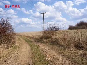 Prodej pole, Číčovice, 6121 m2