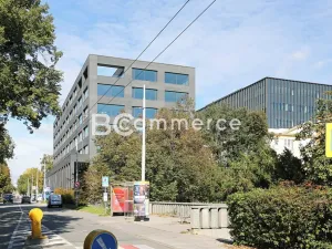 Pronájem kanceláře, Brno, 80 m2