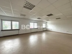 Pronájem kanceláře, Brno, 167 m2