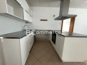 Pronájem kanceláře, Brno, 167 m2