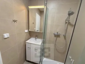 Pronájem bytu 2+1, Praha - Žižkov, Hartigova, 38 m2