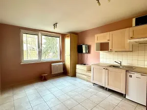 Pronájem bytu 1+kk, Karlovy Vary, Lidická, 21 m2
