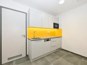 Pronájem skladu, Brno, Svatopetrská, 200 m2