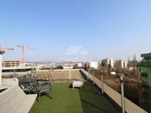 Pronájem bytu 3+kk, Plzeň, Goldscheiderova, 250 m2