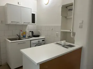 Pronájem bytu 1+kk, Praha - Nusle, Na bitevní pláni, 40 m2