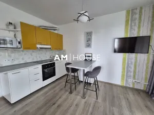 Pronájem bytu 1+kk, Praha - Malešice, Nad úžlabinou, 38 m2