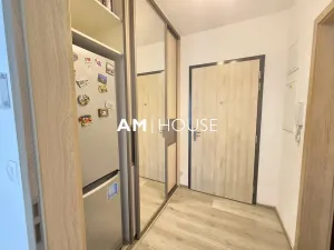 Pronájem bytu 1+kk, Praha - Malešice, Nad úžlabinou, 38 m2