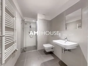 Pronájem bytu 1+kk, Praha - Karlín, Sokolovská, 40 m2