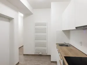 Pronájem bytu 2+1, Praha - Bubeneč, U zeměpisného ústavu, 46 m2