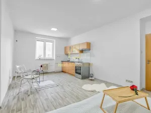 Prodej bytu 2+kk, Ostrava, Alšovo náměstí, 51 m2