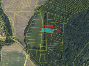 Prodej podílu lesa, Přerov nad Labem, 1596 m2