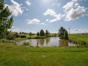 Prodej komerční, Broumov - Velká Ves, Kladská