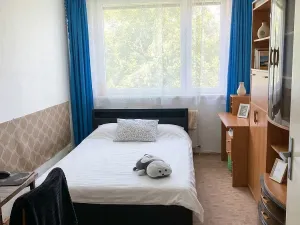 Prodej bytu 4+1, Olomouc - Lazce, Lazecká, 66 m2