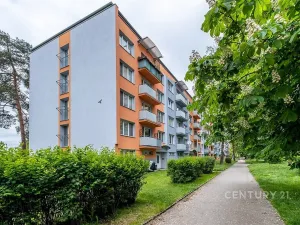 Pronájem bytu 1+kk, České Budějovice - České Budějovice 3, Plzeňská, 21 m2