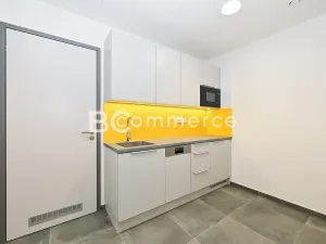 Pronájem obchodního prostoru, Brno, Svatopetrská, 203 m2