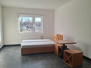 Pronájem bytu 1+kk, Praha, Pod altánem, 44 m2