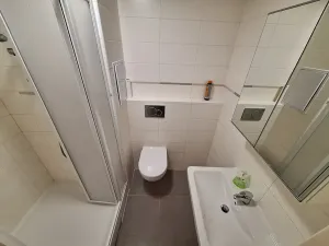 Pronájem bytu 1+kk, Praha - Michle, Na úlehli, 28 m2