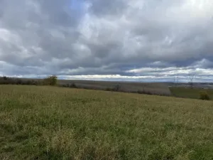 Prodej pole, Děkov, 11683 m2