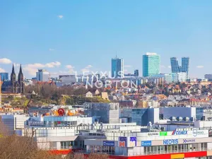 Prodej atypického bytu, Praha - Smíchov, Kobrova, 134 m2