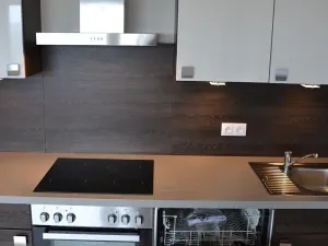 Pronájem bytu 1+kk, Plzeň, Štefánikova, 32 m2