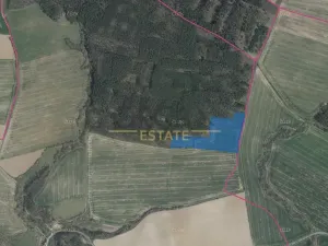 Prodej pole, Všehrdy, 65232 m2