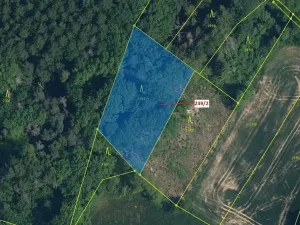 Dražba lesa, Jenišovice, 2305 m2