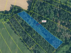 Dražba lesa, Kovčín, 4872 m2