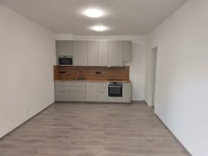 Pronájem bytu 2+kk, Slaný, U Benaru, 60 m2