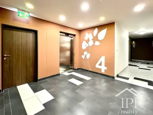 Prodej bytu 1+kk, Praha - Střížkov, Makedonská, 32 m2