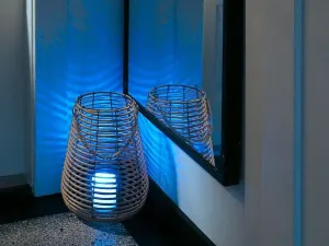 Pronájem bytu 2+kk, Ostrava, Myslbekova, 50 m2