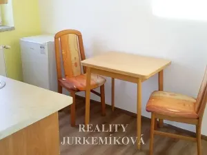 Pronájem bytu 1+kk, České Budějovice, Husova tř., 25 m2