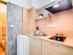 Pronájem bytu 1+1, Praha - Dejvice, Pod kaštany, 14 m2