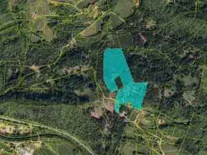 Prodej lesa, Prostřední Bečva, 45503 m2