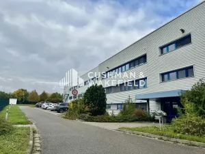 Prodej skladu, Hustopeče, 5500 m2