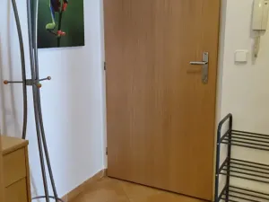 Pronájem bytu 1+kk, Praha - Strašnice, Názovská, 39 m2