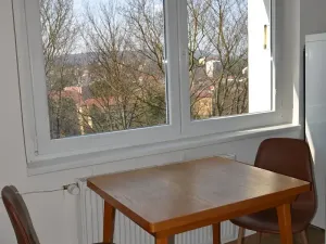 Pronájem bytu 2+1, Brno, Opálkova, 65 m2