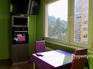 Pronájem bytu 2+1, Žatec, Příkrá, 58 m2