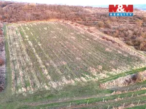 Prodej pole, Sedlec, 9215 m2