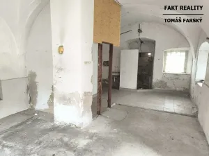 Pronájem obchodního prostoru, Býčkovice, 100 m2