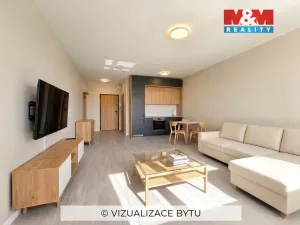 Prodej bytu 1+kk, Orlová - Lutyně, F. S. Tůmy, 32 m2
