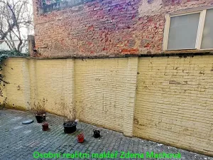 Pronájem bytu 2+kk, Praha - Žižkov, Hartigova, 43 m2