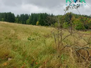 Prodej pozemku pro bydlení, Chodov, 1259 m2