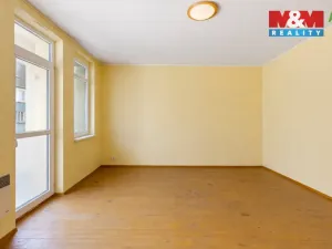 Prodej obchodního prostoru, Louny, Husova, 744 m2