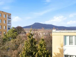 Prodej bytu 4+kk, Litoměřice - Předměstí, Družstevní, 64 m2