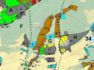 Dražba lesa, Neubuz, 22874 m2