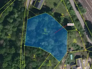 Dražba lesa, Karviná, 1999 m2