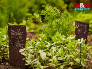 Prodej chalupy, Volfartice, 179 m2